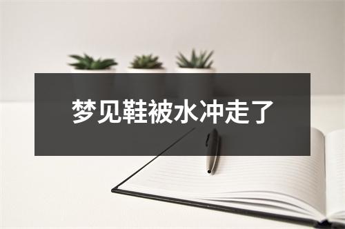 梦见鞋被水冲走了