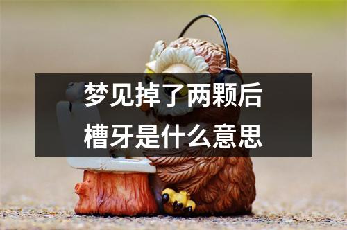 梦见掉了两颗后槽牙是什么意思