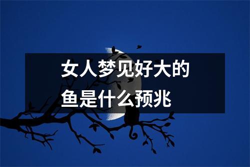 女人梦见好大的鱼是什么预兆