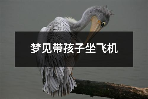 梦见带孩子坐飞机