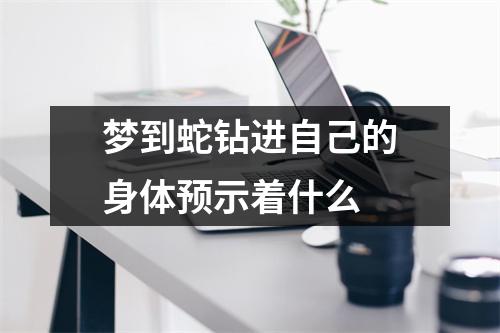 梦到蛇钻进自己的身体预示着什么