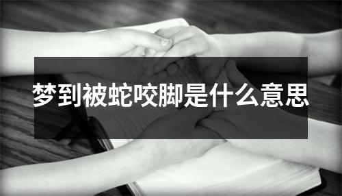 梦到被蛇咬脚是什么意思