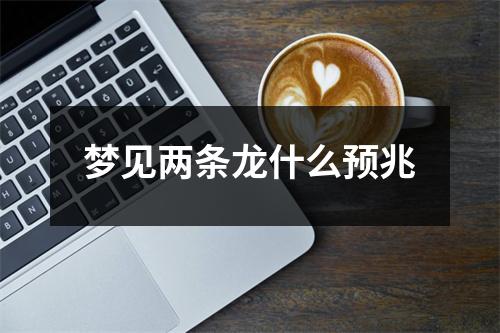 梦见两条龙什么预兆