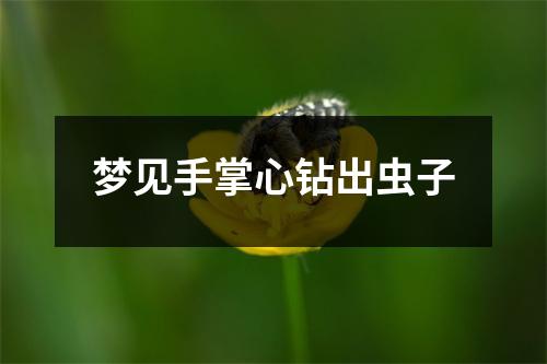 梦见手掌心钻出虫子