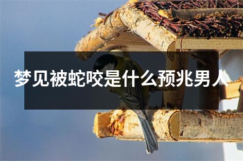 梦见被蛇咬是什么预兆男人