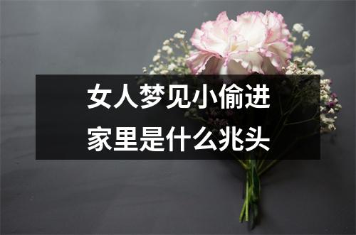 女人梦见小偷进家里是什么兆头