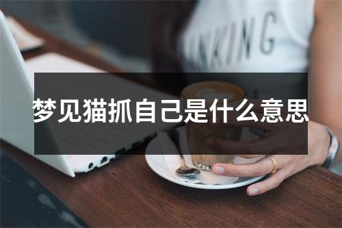 梦见猫抓自己是什么意思