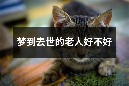 梦到去世的老人好不好