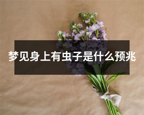 梦见身上有虫子是什么预兆