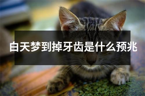 白天梦到掉牙齿是什么预兆