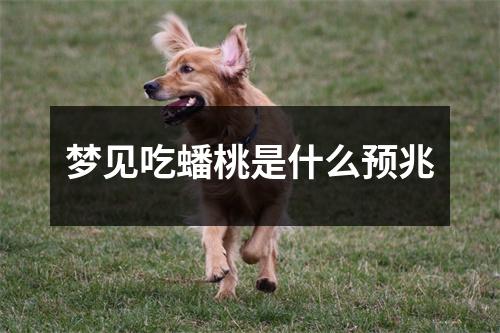 梦见吃蟠桃是什么预兆