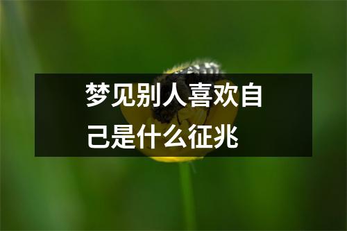 梦见别人喜欢自己是什么征兆