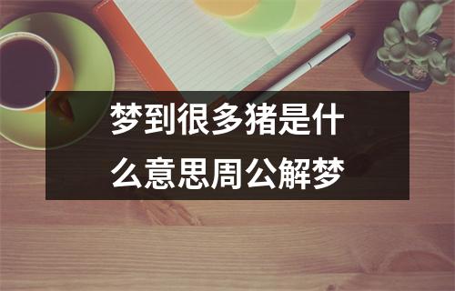 梦到很多猪是什么意思周公解梦