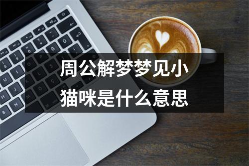 周公解梦梦见小猫咪是什么意思