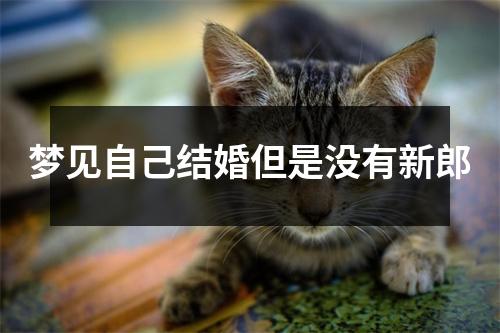 梦见自己结婚但是没有新郎