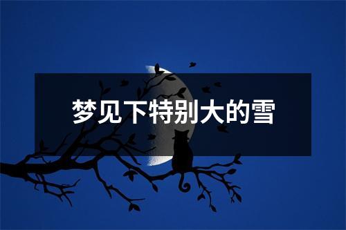 梦见下特别大的雪