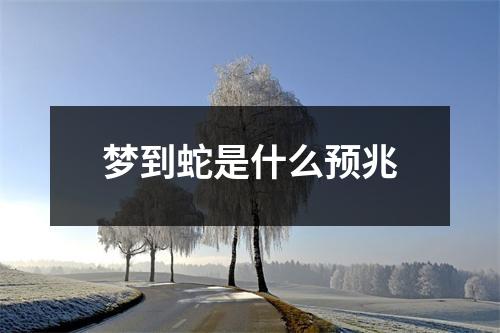 梦到蛇是什么预兆