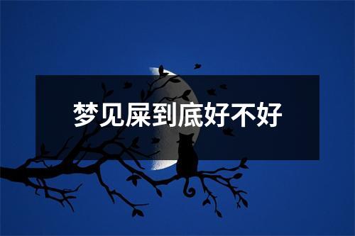 梦见屎到底好不好