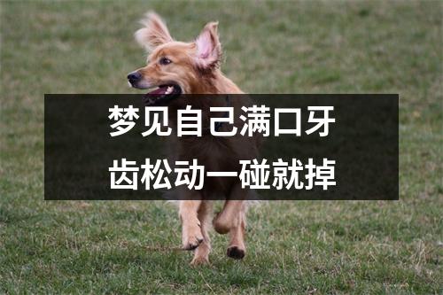 梦见自己满口牙齿松动一碰就掉