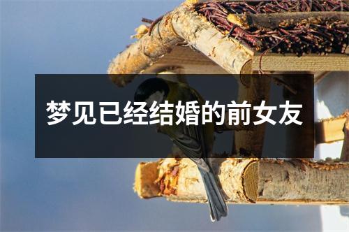 梦见已经结婚的前女友