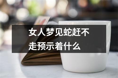 女人梦见蛇赶不走预示着什么