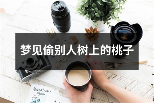 梦见偷别人树上的桃子