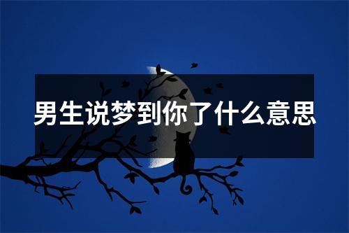 男生说梦到你了什么意思