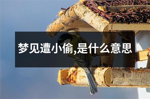 梦见遭小偷,是什么意思