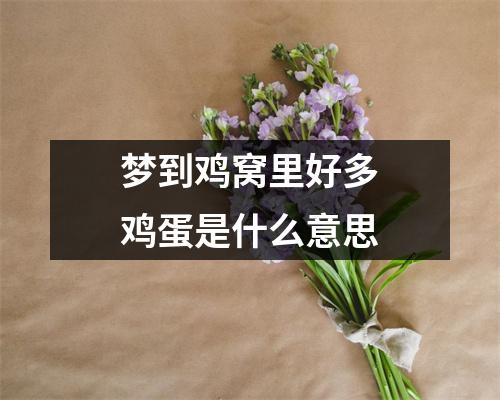 梦到鸡窝里好多鸡蛋是什么意思