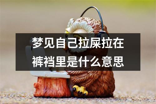 梦见自己拉屎拉在裤裆里是什么意思