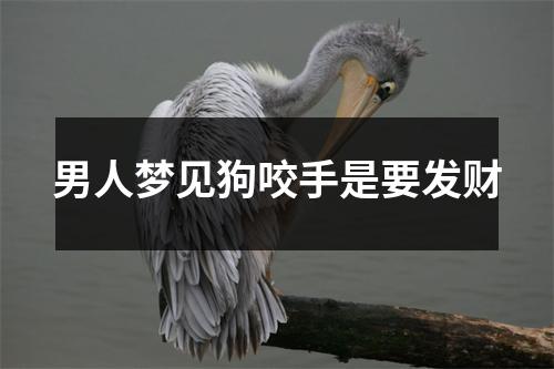 男人梦见狗咬手是要发财