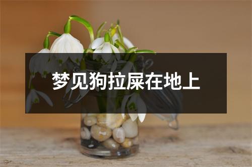 梦见狗拉屎在地上