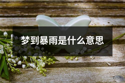 梦到暴雨是什么意思