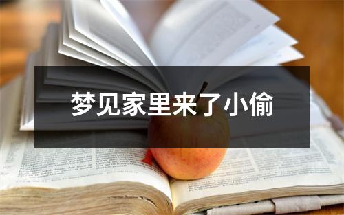 梦见家里来了小偷