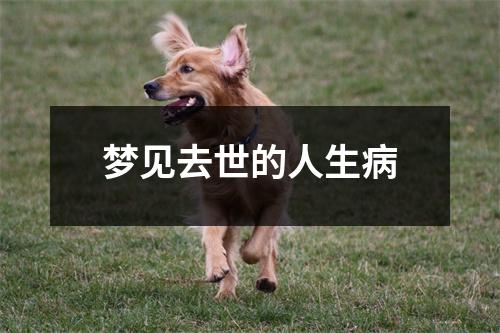 梦见去世的人生病