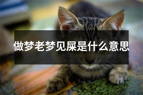 做梦老梦见屎是什么意思