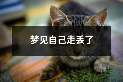 梦见自己走丢了