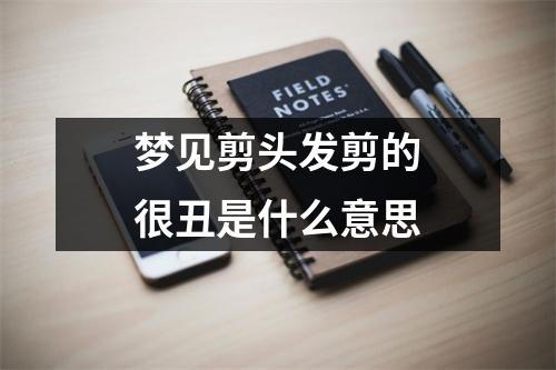 梦见剪头发剪的很丑是什么意思