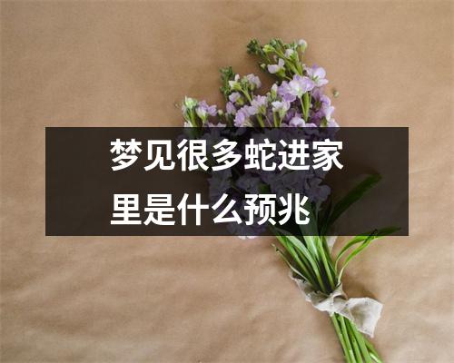 梦见很多蛇进家里是什么预兆