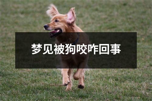 梦见被狗咬咋回事