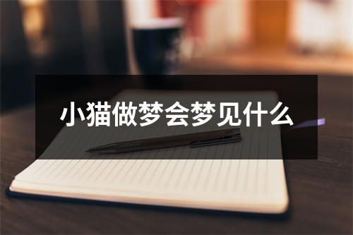 小猫做梦会梦见什么