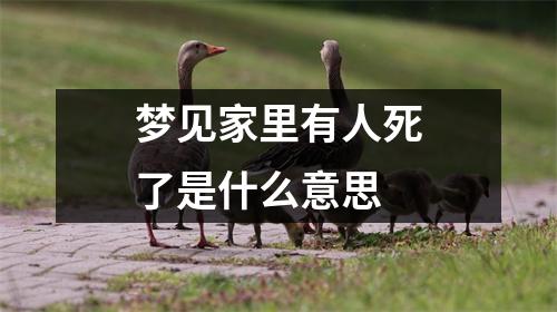 梦见家里有人死了是什么意思