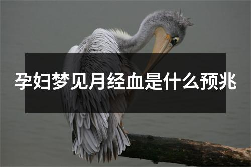 孕妇梦见月经血是什么预兆