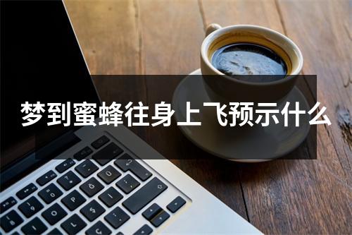 梦到蜜蜂往身上飞预示什么