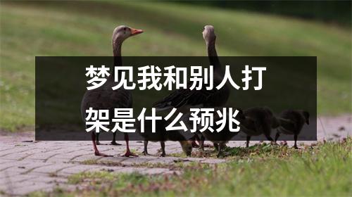 梦见我和别人打架是什么预兆