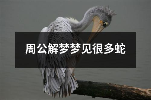 周公解梦梦见很多蛇