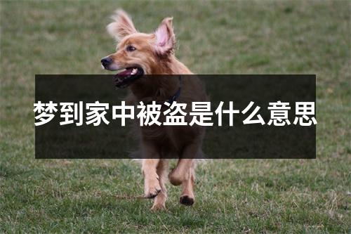 梦到家中被盗是什么意思