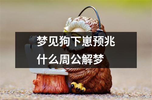 梦见狗下崽预兆什么周公解梦