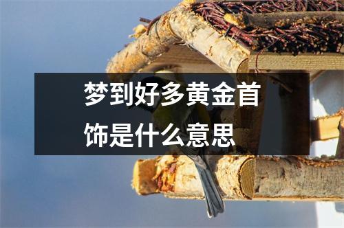 梦到好多黄金首饰是什么意思