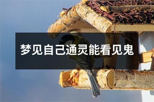 梦见自己通灵能看见鬼